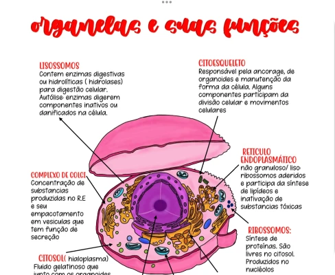 amostra_completo_1