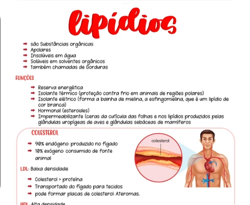 Resumos De Bioquímica – Médica Leitora