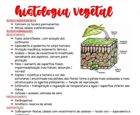 amostra_de_bot_nica_2