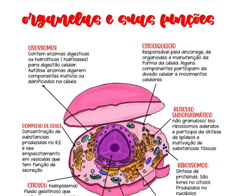 amostra_de_citologia_1