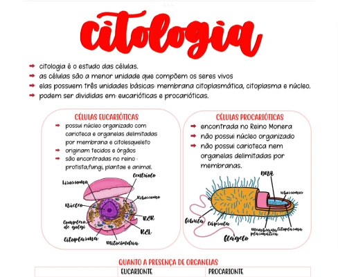 amostra_de_citologia_2