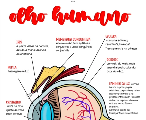 amostras_de_biologia_07